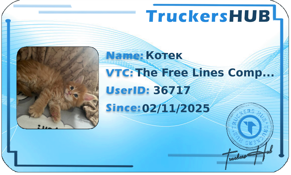 Котек License