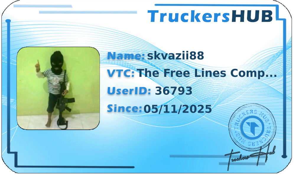 skvazii88 License