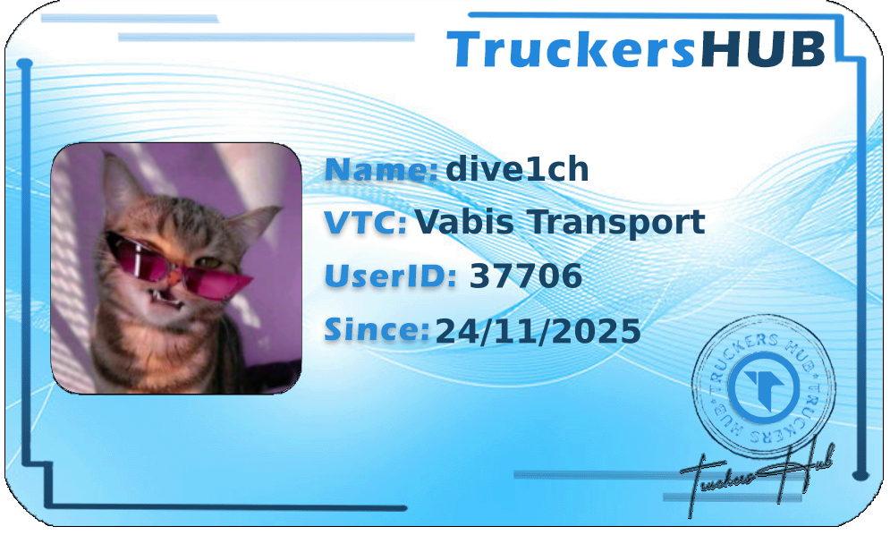 dive1ch License