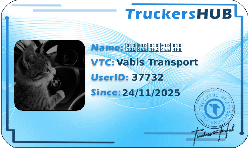 𝓜𝓮𝓲𝓮𝓻 License