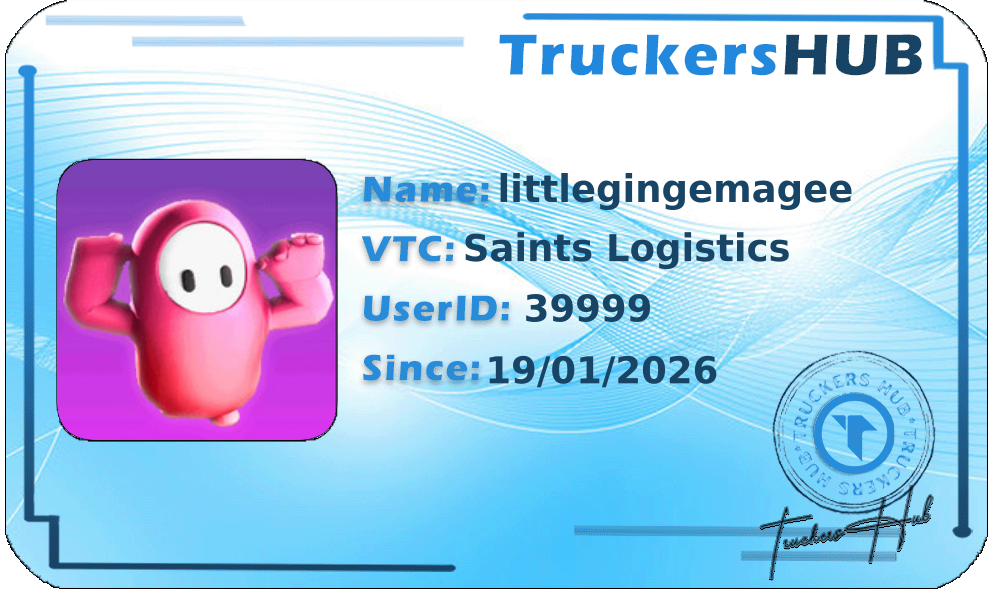 littlegingemagee License