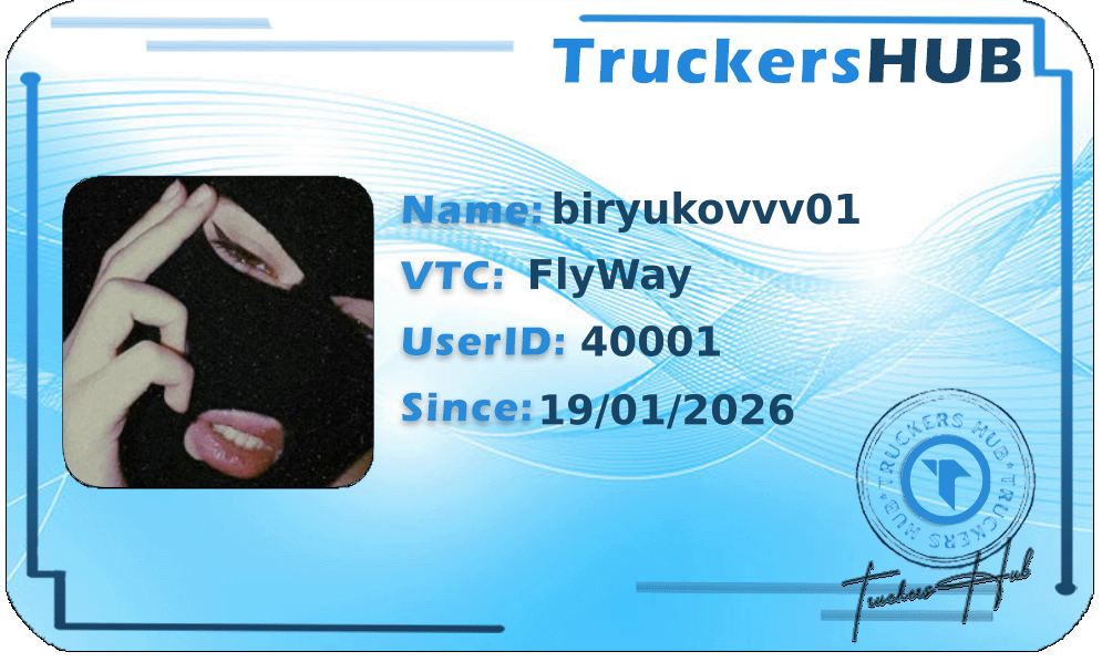 biryukovvv01 License