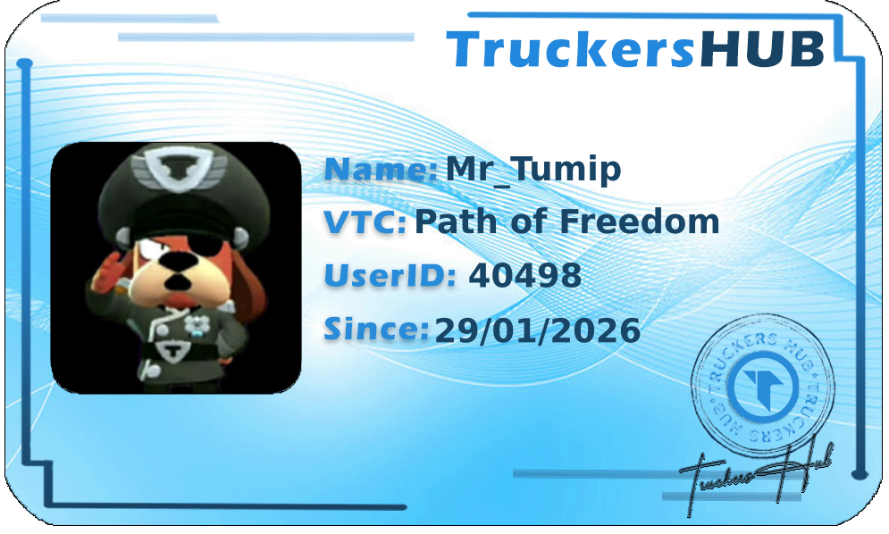 Mr_Tumip License