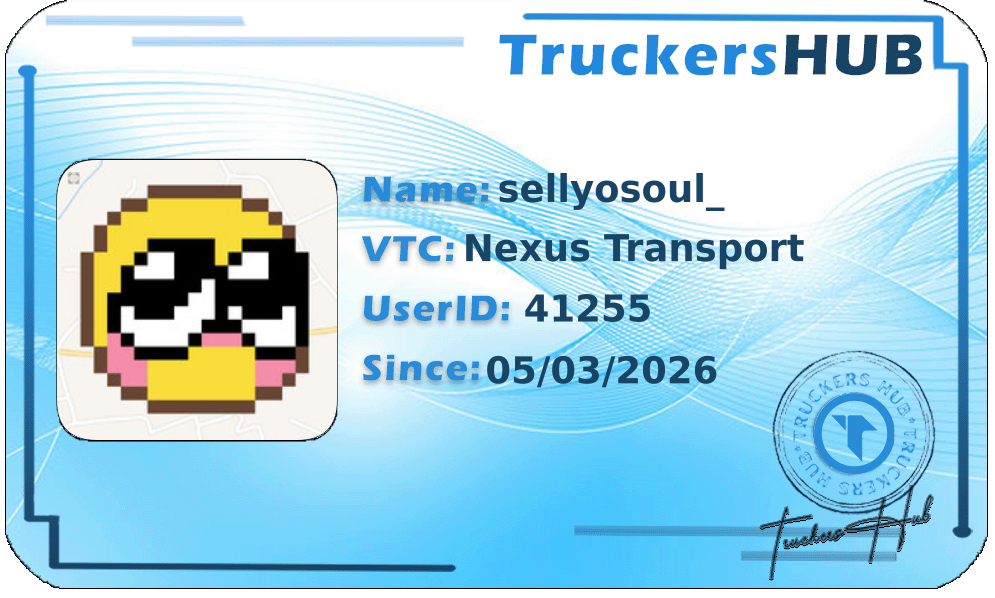 sellyosoul_ License
