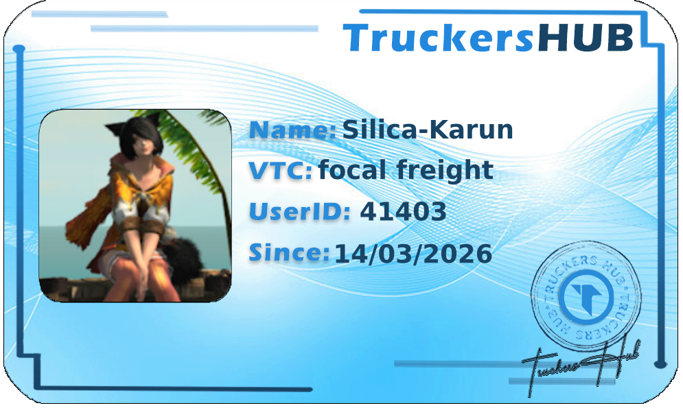 Silica-Karun License