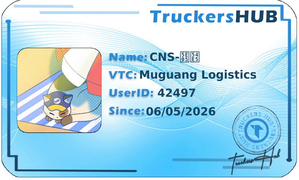 CNS-帅哥 License