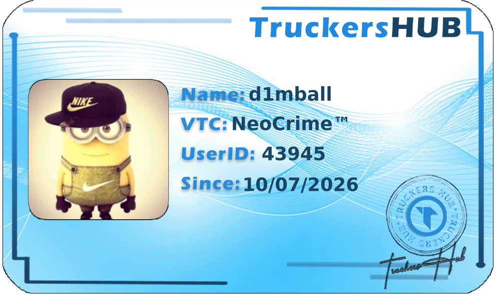 d1mball License