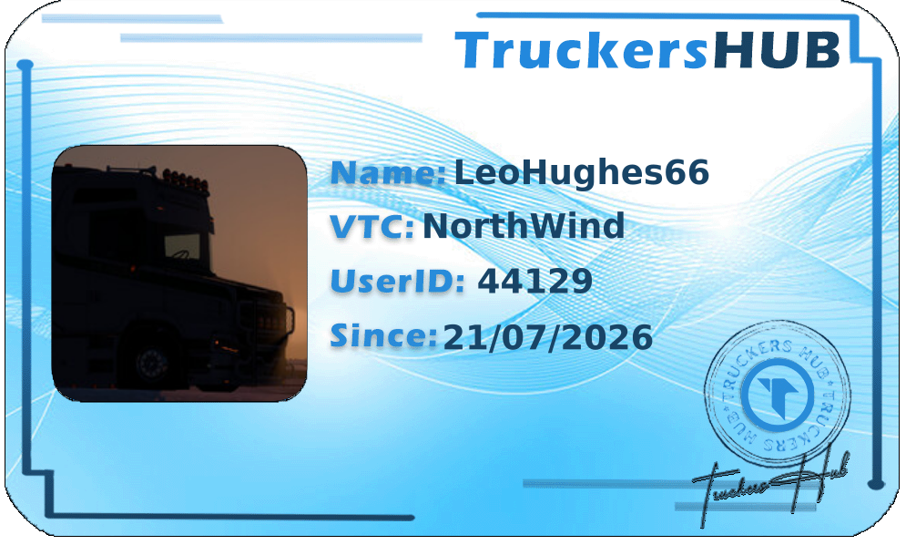 LeoHughes66 License
