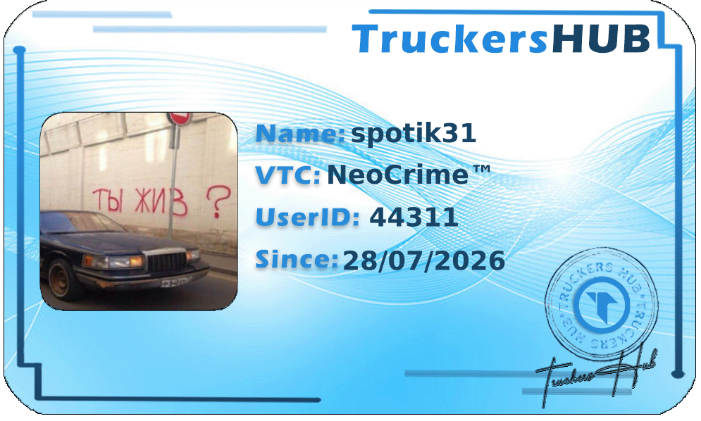spotik31 License