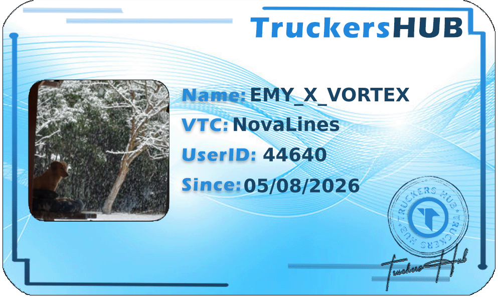 EMY_X_VORTEX License