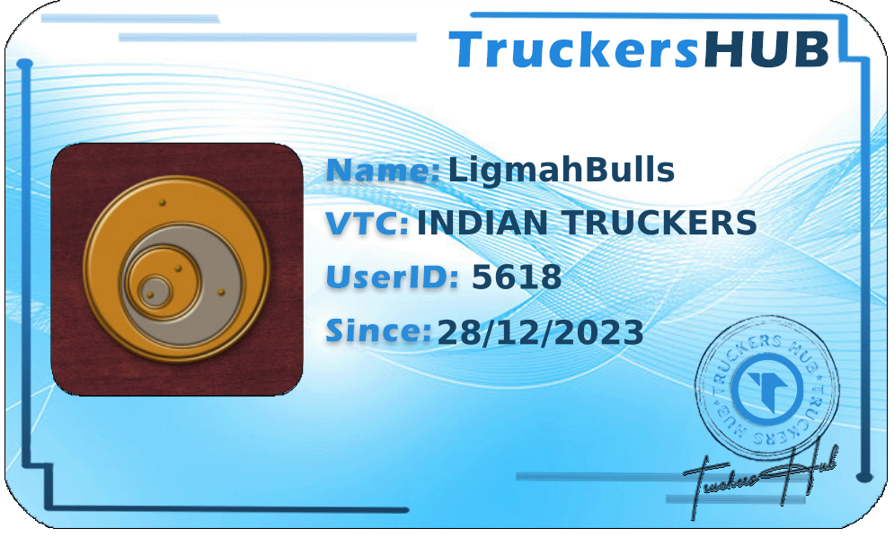 LigmahBulls License