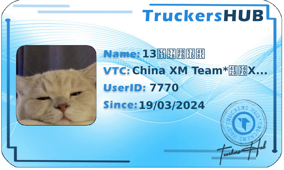 13岁在读初二 License